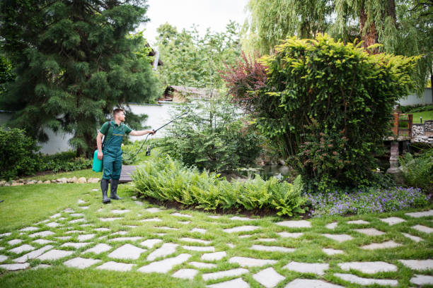 Best Termite Control Services  in Buellton, CA