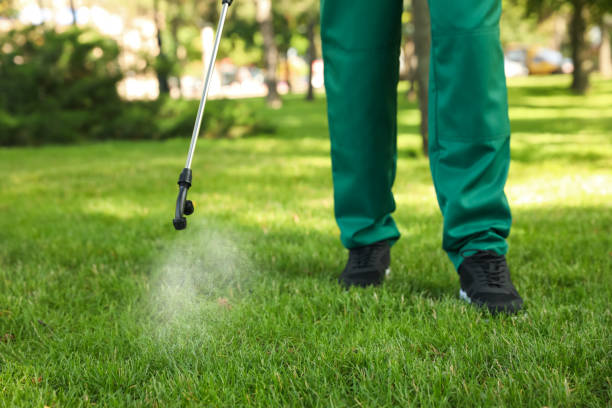 Best Wasp Removal Services  in Buellton, CA