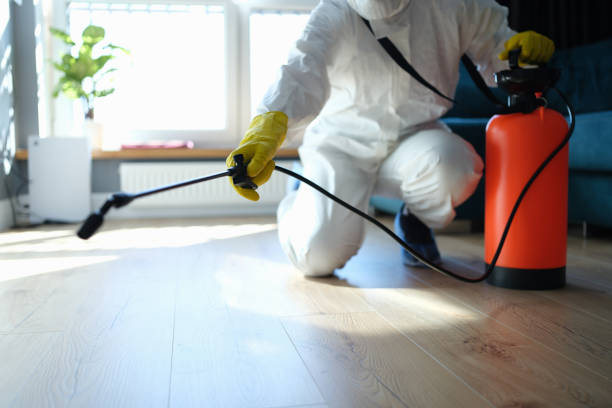 Flea Control Services in Buellton, CA