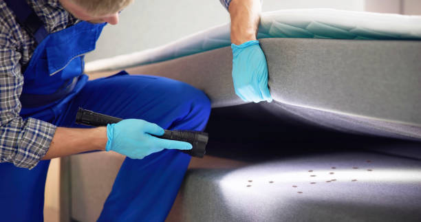 Best Affordable Pest Control Services  in Buellton, CA
